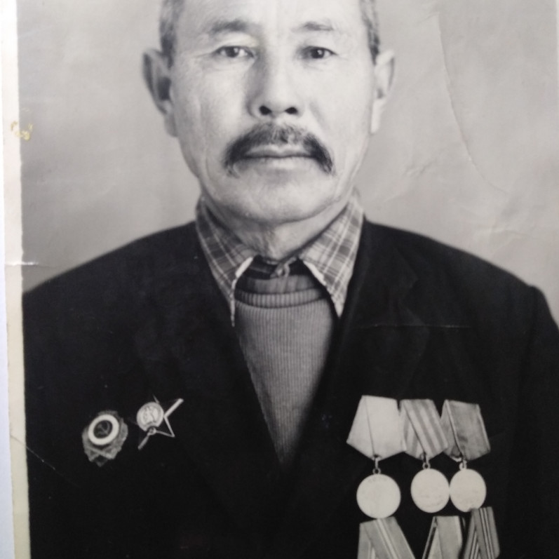 Фото ветерана: Тажиметов Даулеткельды